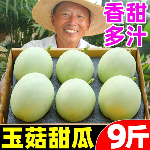 【玉菇甜瓜热卖榜】官方推荐