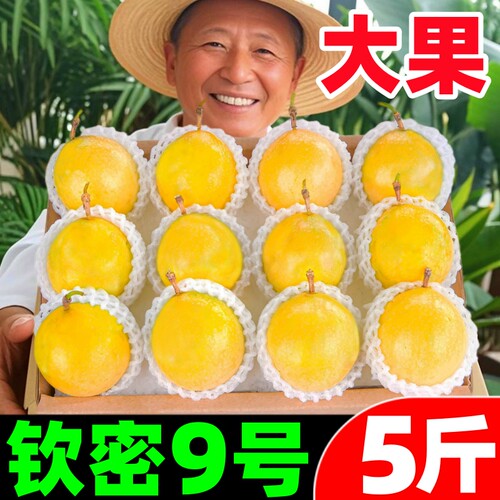 【黄金百香果热卖榜】官方推荐