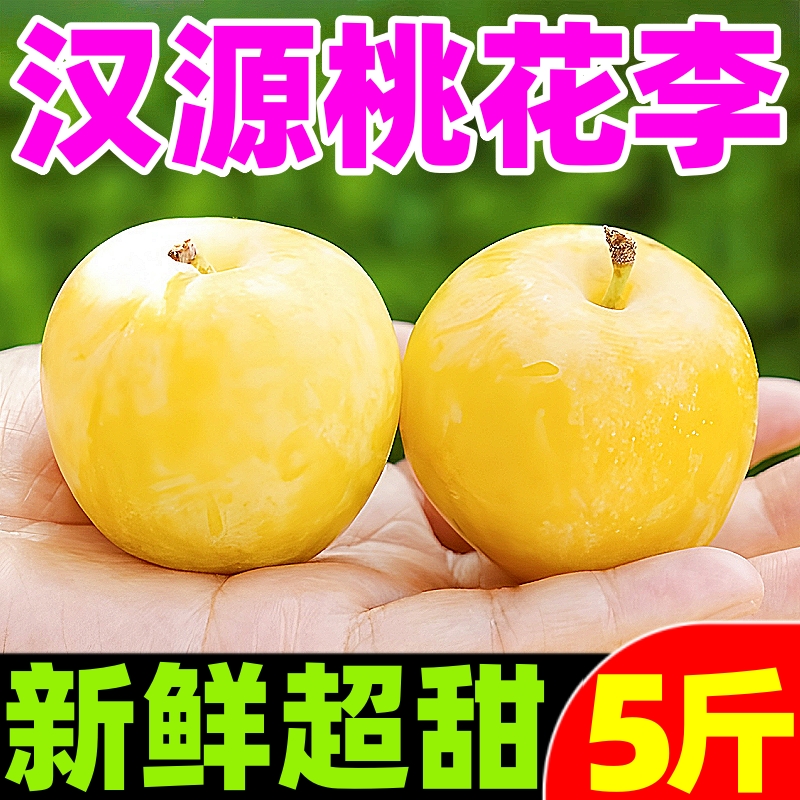 【超甜冰糖李好评榜】官方推荐