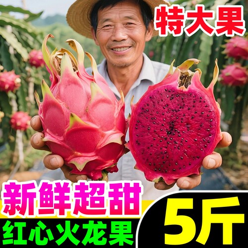 【红心火龙果热卖榜】官方推荐