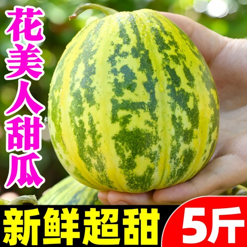 【花美人甜瓜热卖榜】官方推荐