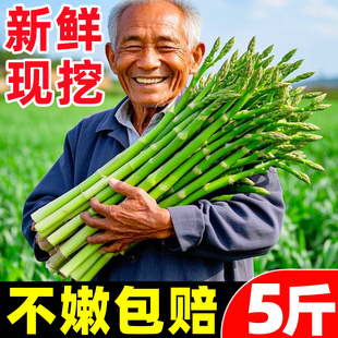 山东芦笋新鲜5斤嫩绿青芦笋尖鲜芦笋高端特大级现挖野生芦笋卢笋