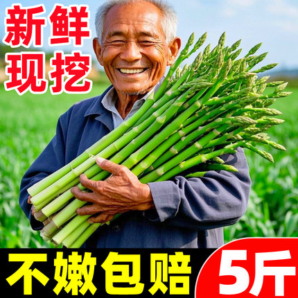 山东芦笋新鲜5斤嫩绿青芦笋尖鲜芦笋高端特大级现挖野生芦笋卢笋