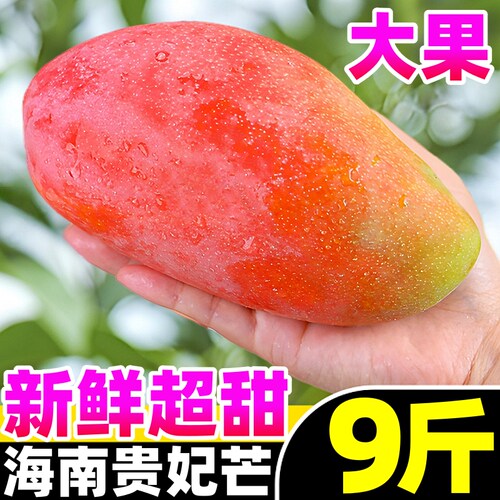 【贵妃芒热卖榜】官方推荐