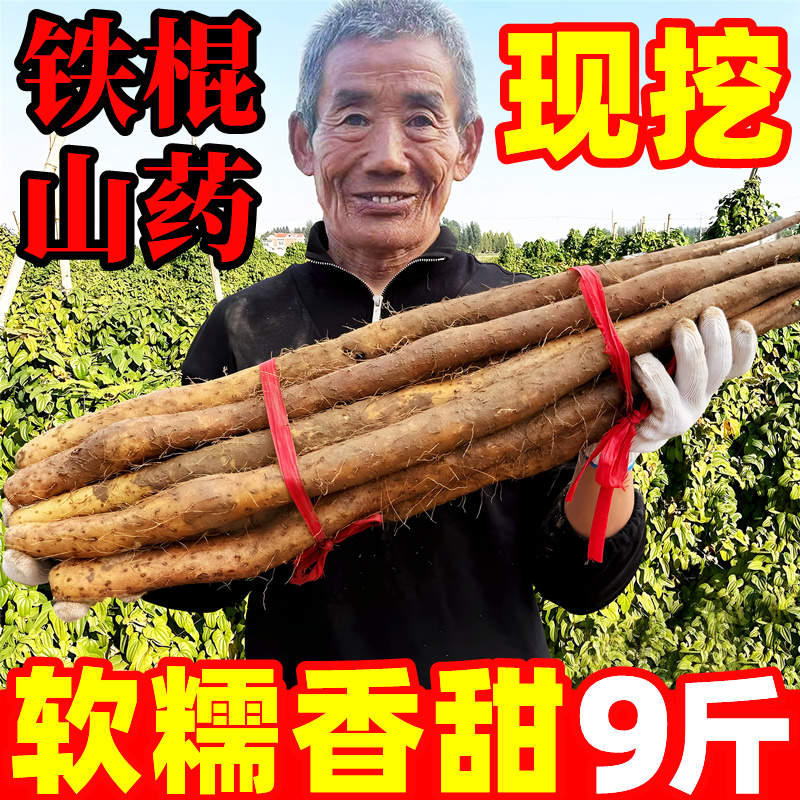 正宗河南垆土铁棍山药9斤新鲜蔬菜小白嘴怀淮山药官方旗舰店批发5