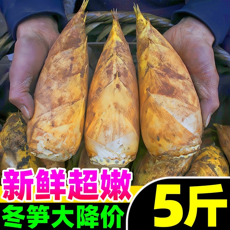 浙江临安冬笋新鲜现挖5斤特毛竹笋级鲜笋野春雷笋生冬笋马蹄甜笋