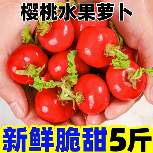 【新鲜小萝卜热卖榜】官方推荐
