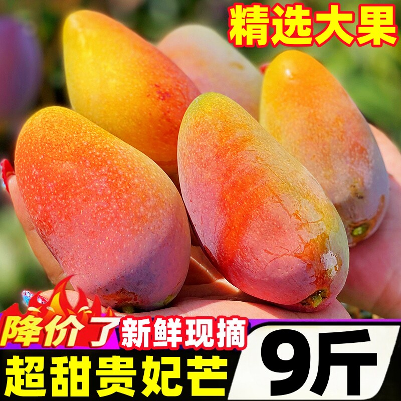 海南贵妃芒果10斤整箱新鲜水果礼盒当季热带树上熟金玉青煌台芒果