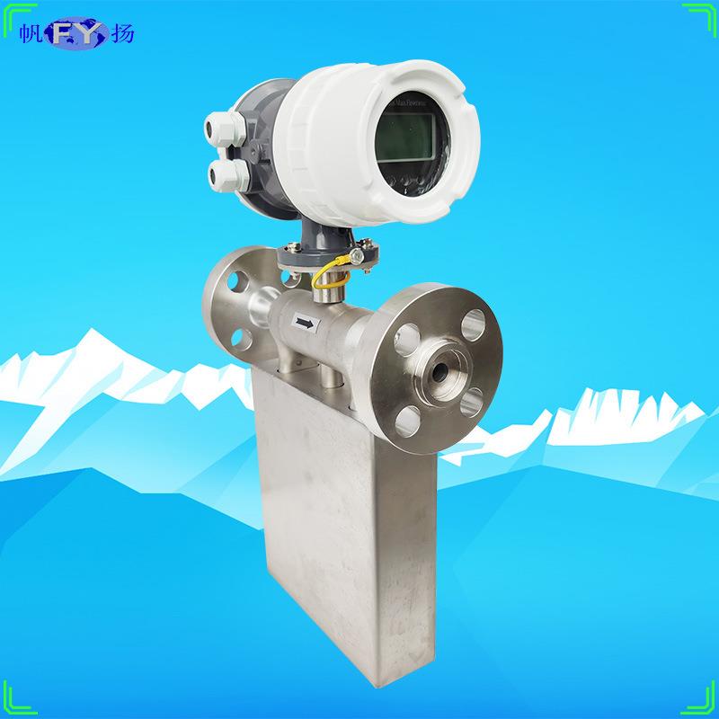 FE2流量计质量流量计科里奥利质量流量计科氏质量流量计液体