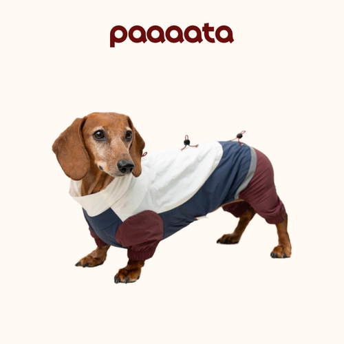 paaaata腊肠狗四脚衣防蚊虫防水