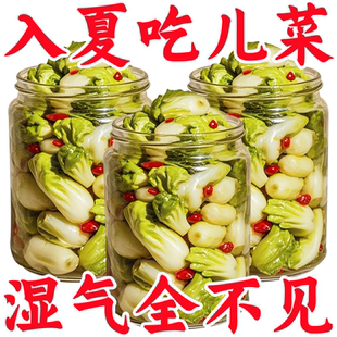 四川特产泡菜儿菜腌制下饭菜大头菜爽口开味脆嫩小菜芥菜咸菜开胃
