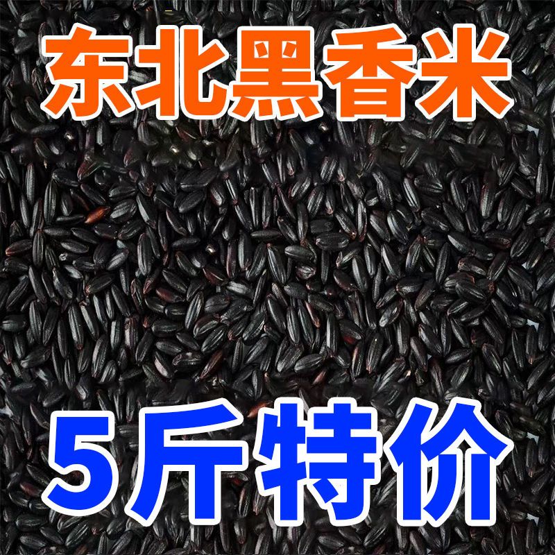 东北黑米黑龙江五谷杂粮农家黑香米新货非紫米糙米熬粥代早餐特产