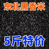 东北黑米黑龙江五谷杂粮农家黑香米新货非紫米糙米熬粥代早餐特产