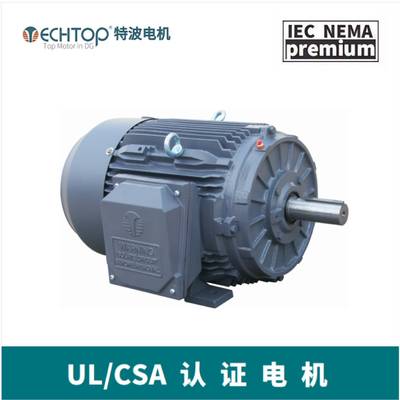 MOTORUL/CE认证的马达电机TC100L-2P3W50/60HZ
