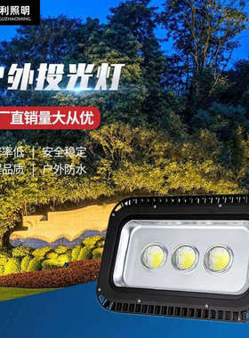 LED黑色隧道灯100W150W200W250W300大功率广场投光灯广告招牌灯