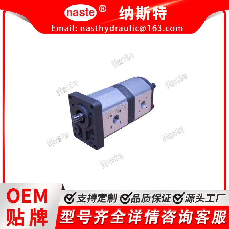 GD5-20-12H16FFL-20  液压泵