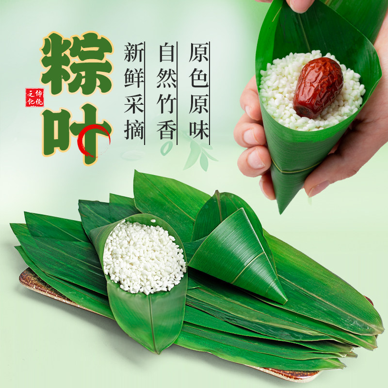 云山半粽叶新鲜粽子叶现摘包棕专用的干端午家用商用批发野生箬叶