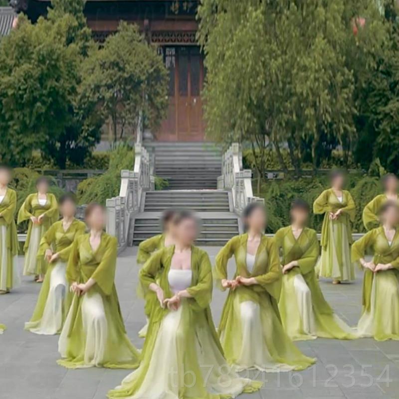高档古典舞蹈寻茶纱衣服女飘逸练功中身国舞衣韵服大摆裙纱万疆演