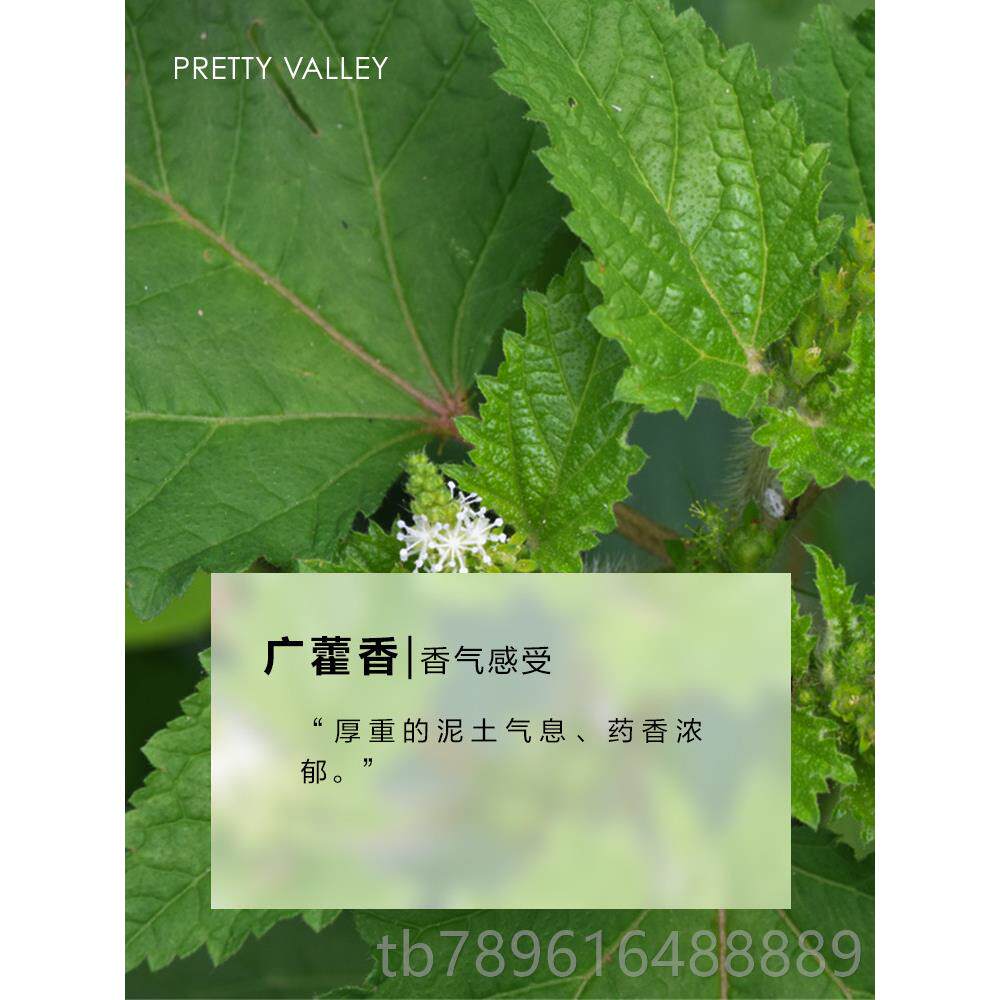 高档惠美舍广藿香精油纯单一精油面植物油部护肤精身体按摩香薰精