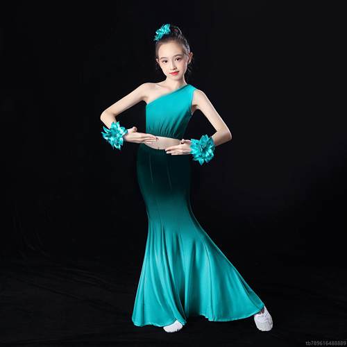 高档族舞蹈儿身童演出服女童孔雀包臀舞修艺考民傣族表演服鱼尾裙