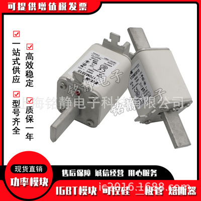 170M3063 170M3064 170M3065 170M3066巴斯曼熔断器现货170M3067