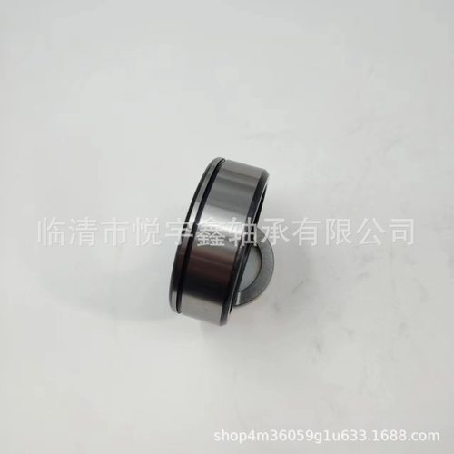 SL024922 SL024924 SL024926 SL024928  装满圆柱滚子轴承