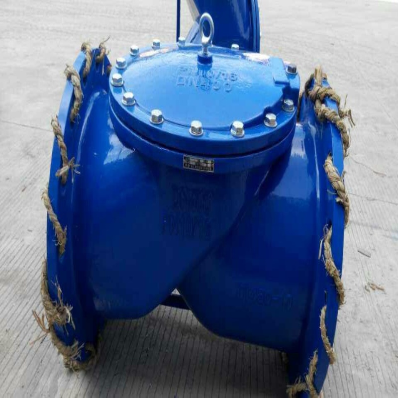 广州越海阀门福建越海阀门沟槽橡胶瓣止回阀H84X-16 DN100阀门
