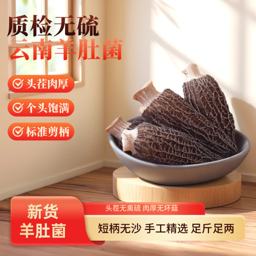云南精选头茬剪柄羊肚菌干货