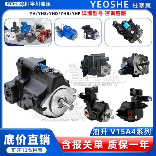 柱塞泵V15A4/3/2/1R10XV18A1/2/3/4R10X液压驱动水泵抽水