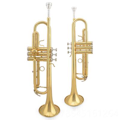 正品金音小B调初学儿童成人考级通用乐器JYT乐R-E10降0G 号漆金黄