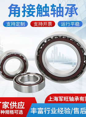 不锈钢角接触球轴承S7202AC S7203AC S7204 S7205 S7206AC S7301