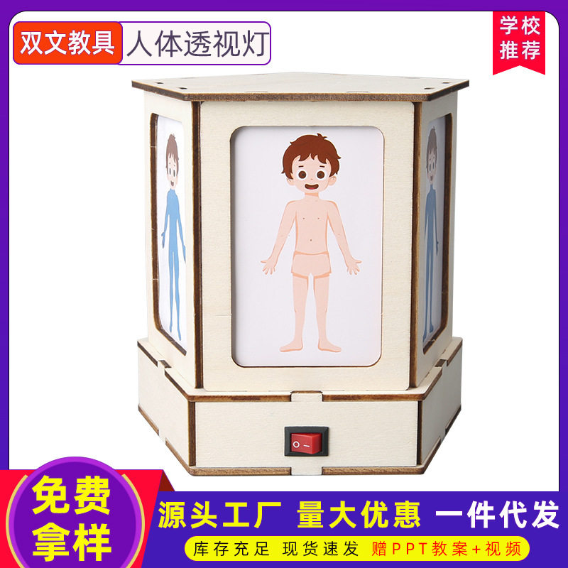 科技小制作人体结构观察灯认识人体器官科学实验stem儿童手工