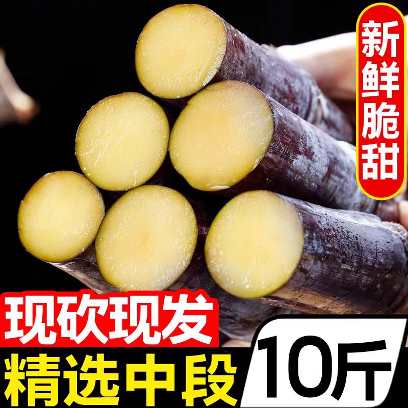 正宗广西黑皮甘蔗中段新鲜水果应当季脆甜果糖蔗榨汁糖浆甜杆整箱