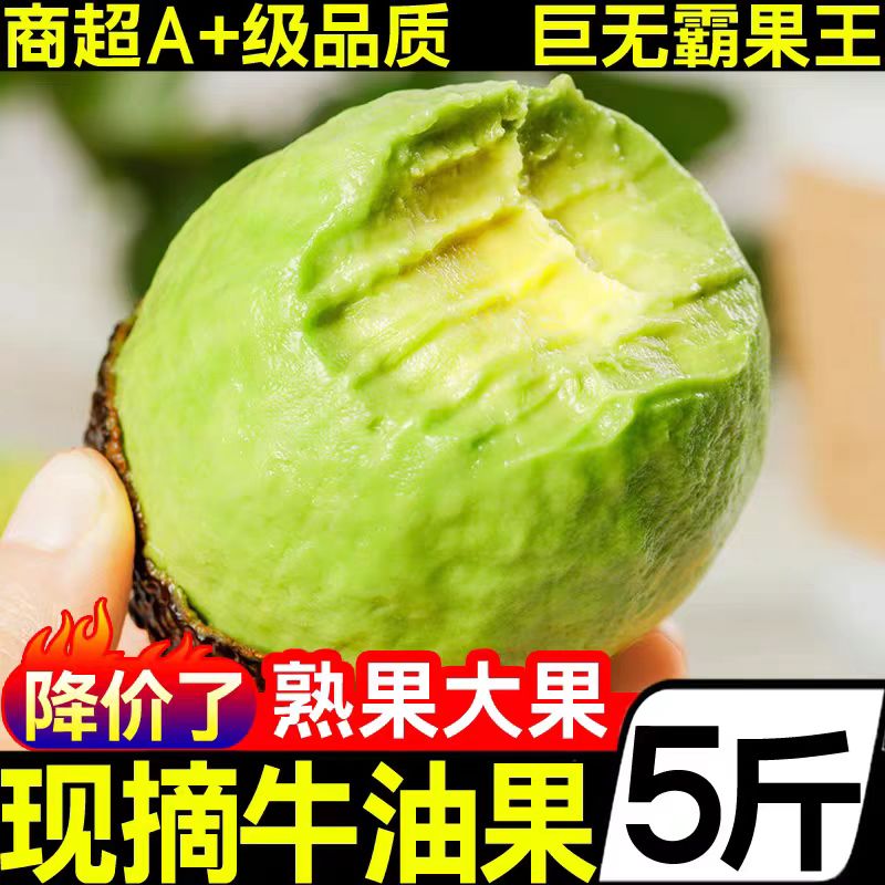 云南哈斯牛油果大果应当季新鲜水果熟透流油即食鳄梨孕妇整箱批发