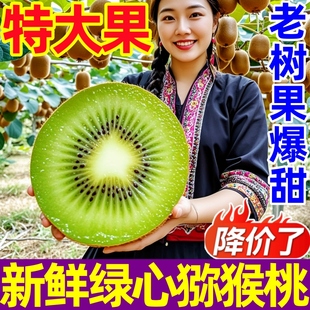 包郵 現摘水果彌猴桃旗艦店 正宗超甜徐香綠心獼猴桃新鮮奇異果當季