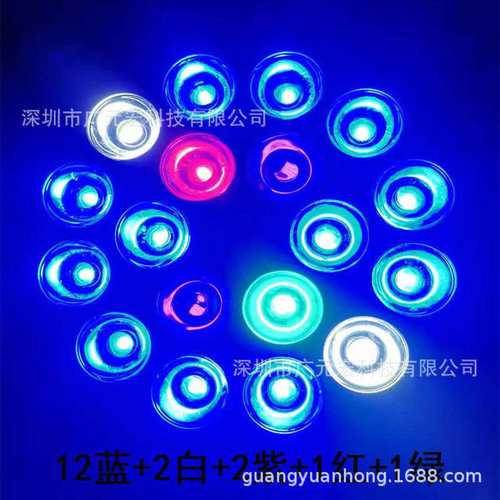 海水鱼缸灯led水草灯藻缸灯珊瑚灯照明水族箱微缸迷你补光爆藻灯