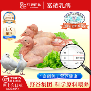 阜平硒鸽硒鸽子现杀新鲜乳鸽肉孕妇肉鸽补硒农家月子放养老鸽子