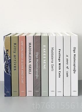 正品样板间童咪房装饰真书猫卡通星空装饰儿品具道书绘本仿真书摆