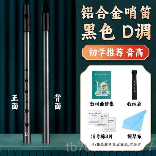 正品爱尔兰哨笛学儿童C调D调专初6业演奏笛子人锡笛孔直笛成竖笛