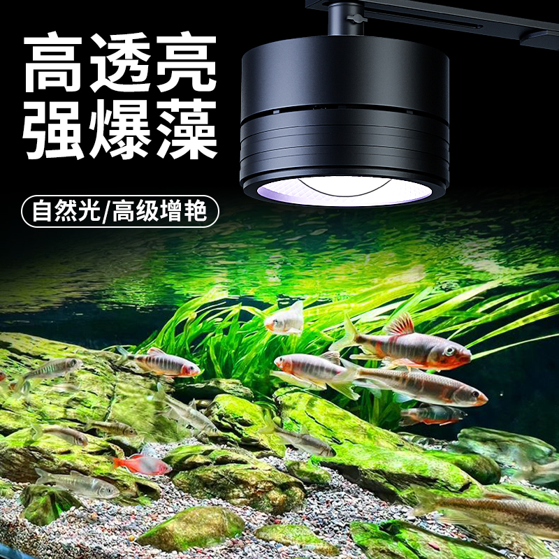 专业爆藻苔灯观赏WRGB超高亮筒灯