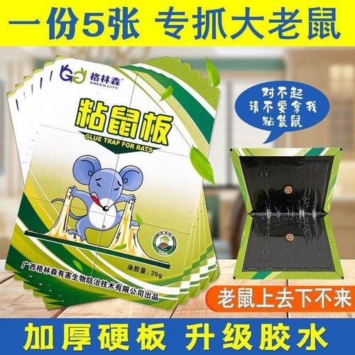 强粘鼠板力抓粘大老鼠双面胶药捕鼠灭老鼠器夹子家用灭耗子贴笼5