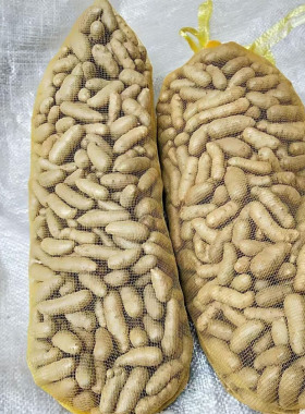 新鲜铁棍小白嘴山药豆长豆紫皮软糯产地直发各种规格冰糖葫芦微甜