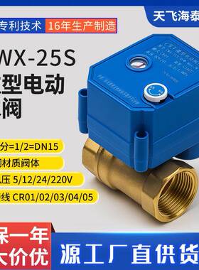 源头厂家-25SDN15铜4分手电一体微型电动阀水处理工程电磁阀