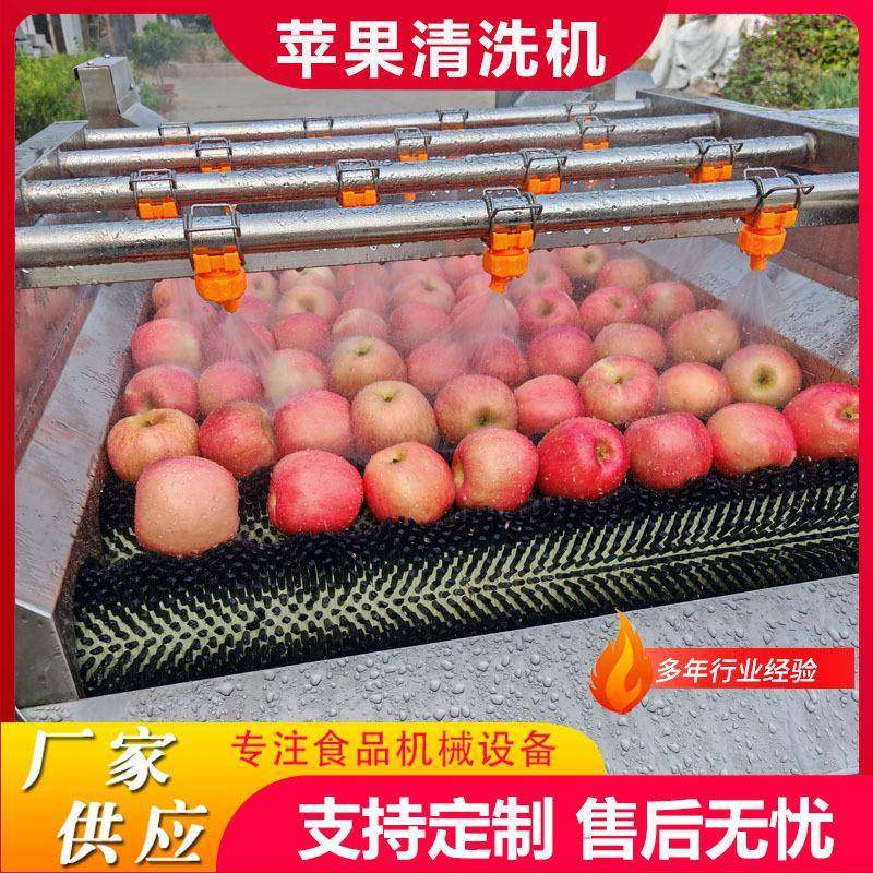 商用水果气泡毛刷一体机杏子平行毛辊清洗机水蜜桃毛刷清洗机设备,清洗/食品/商业设备,其他食品加工设备,淘宝优惠券,粉丝福利购,淘宝优惠卷