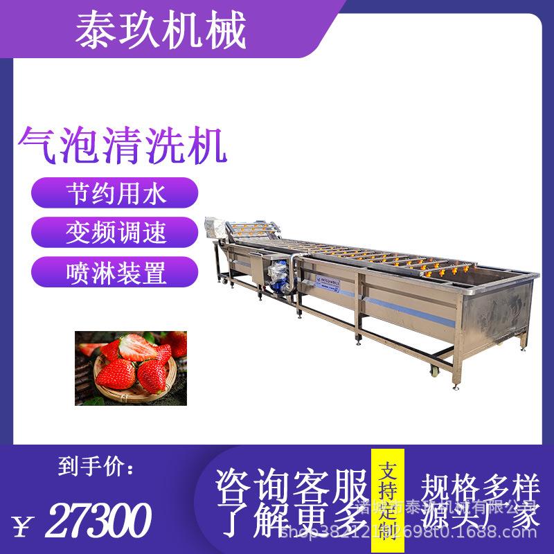 红枣气泡清洗机苦菜清洗制造线苹果草莓洗果机石榴清洗全套设备