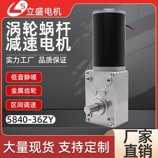 36ZY直流减速电机微型自锁涡轮蜗杆调速低速马达12V24V 5840