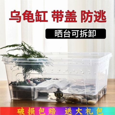 网红乌龟缸水陆两栖乌龟缸养龟隔离盒养龟专用周转箱养龟用品带盖