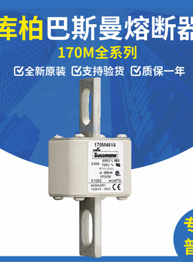 熔断器170M4614/170M4615/170M4616/170M4617/170M4618/170M4619