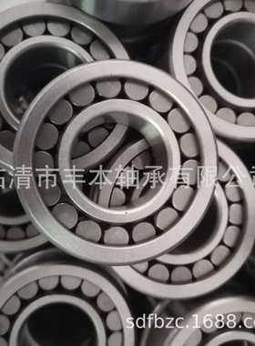 RN205M/502205H精密二类短圆柱滚子轴承 RN205EM减速机轴承