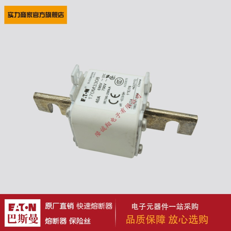 熔断器170M3292 170M3293 170M3308 170M3309 170M3310 170M3311